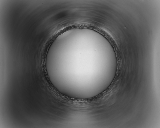 X0000089380823200706150909