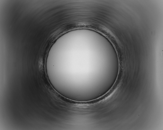 X0000089380825200706150909