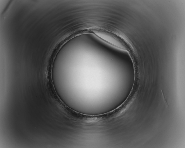 X0000089380826200706150909
