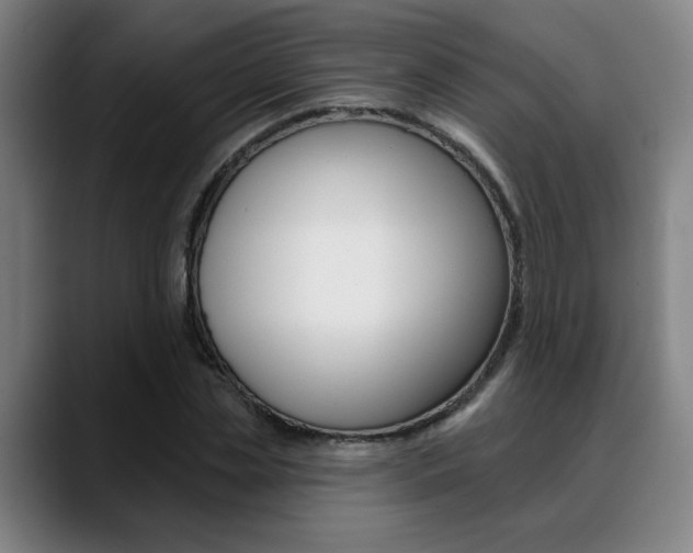 X0000089380829200706150909
