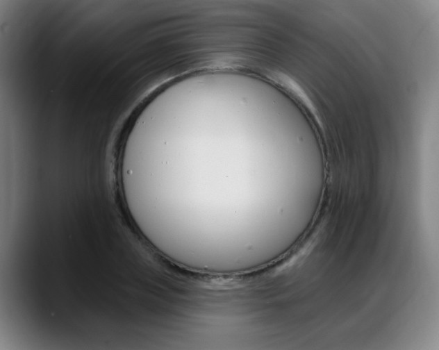 X0000089380835200706150909