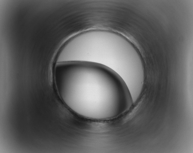 X0000089380838200706150909