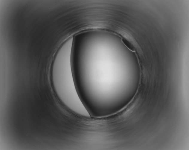 X0000089380842200706150909