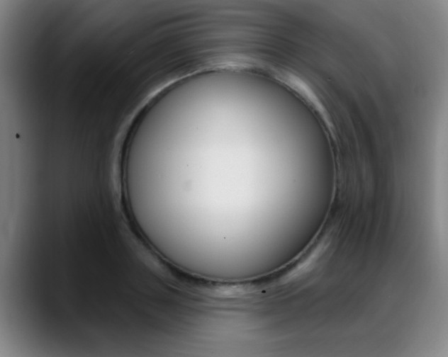 X0000089380843200706150910