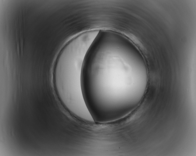 X0000089380846200706150910