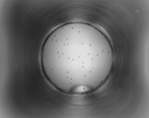 X0000089380847200706150910