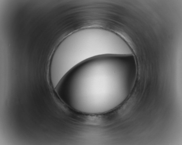 X0000089380850200706150910