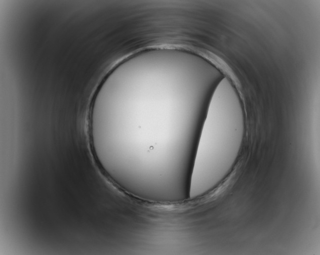 X0000089380855200706150910