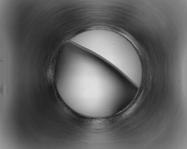 X0000089380857200706150910