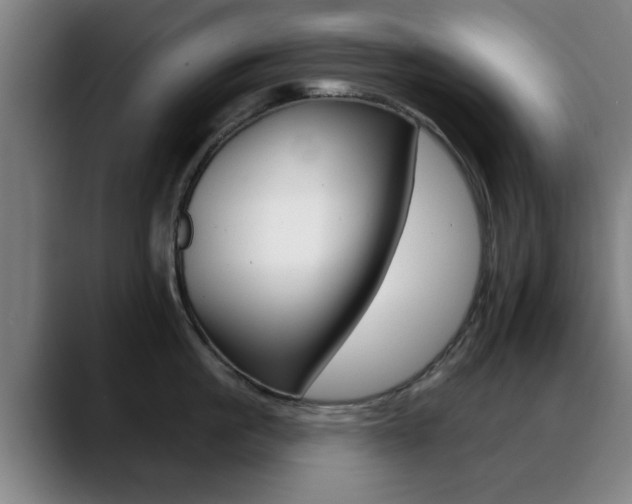 X0000089380861200706150910