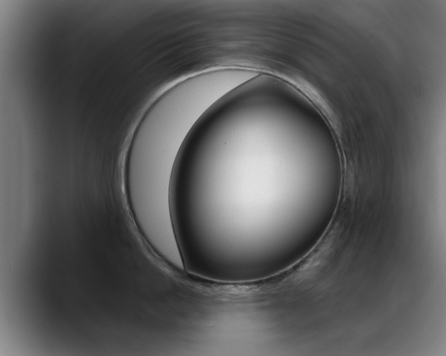 X0000089380862200706150910