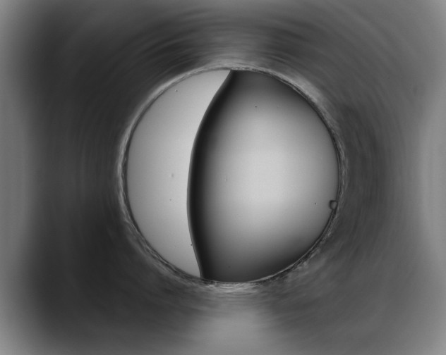 X0000089380864200706150910