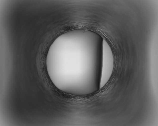 X0000089380865200706150909