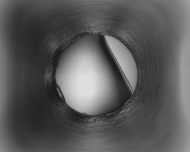 X0000089380867200706150909