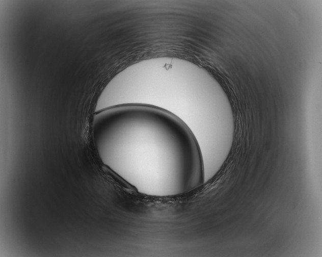 X0000089380868200706150909