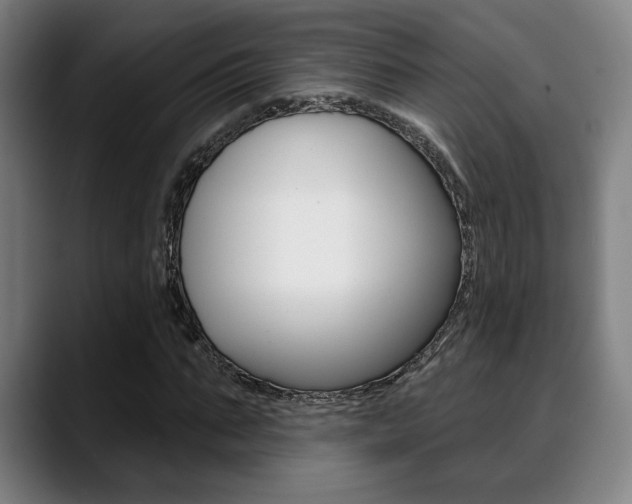 X0000089380871200706150909