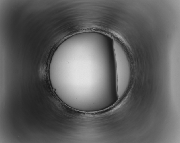 X0000089380873200706150909