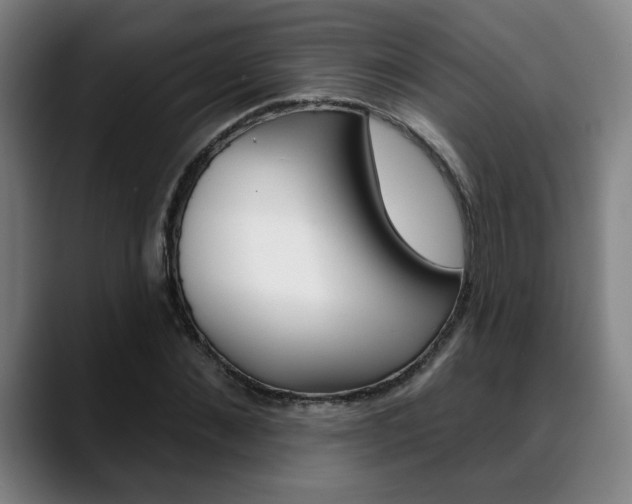 X0000089380876200706150909