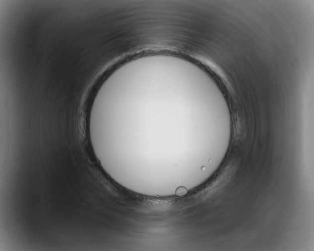 X0000089380878200706150909