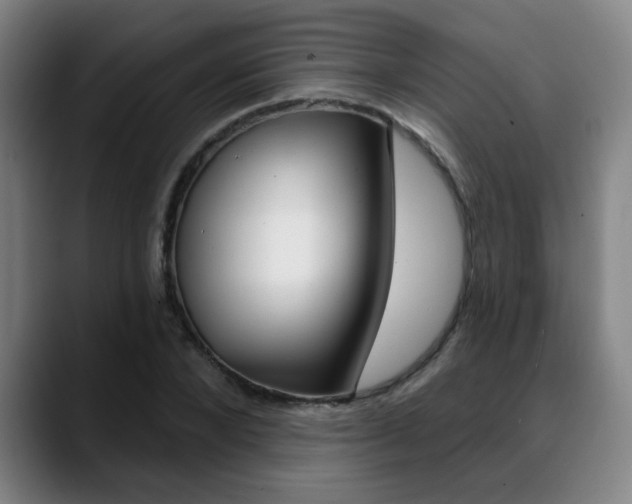 X0000089380880200706150909