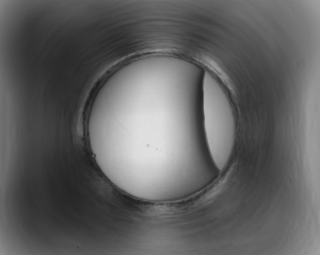 X0000089380883200706150909