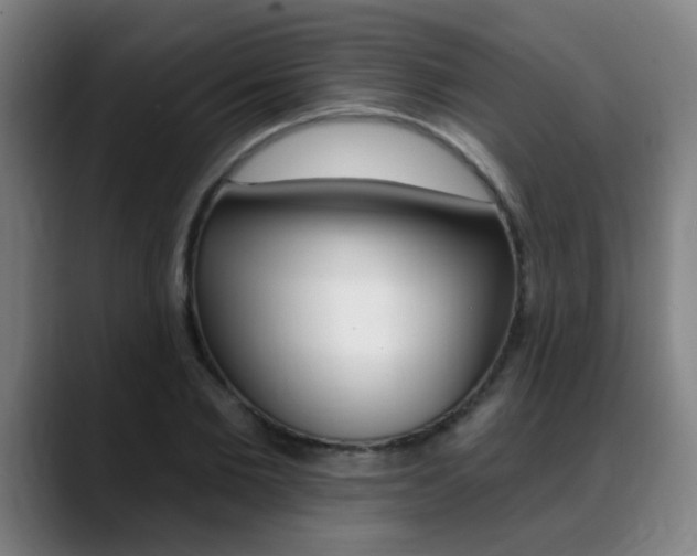 X0000089380885200706150909