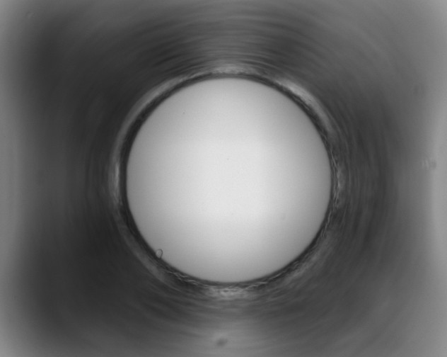 X0000089380886200706150909