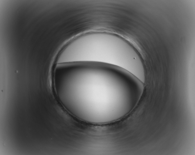 X0000089380888200706150909