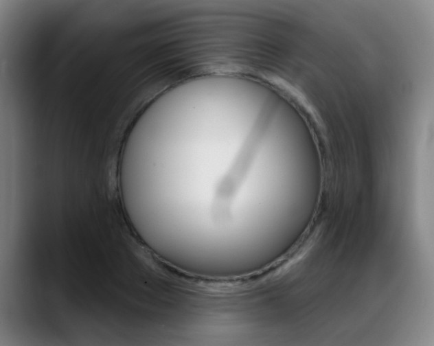 X0000089380889200706150909