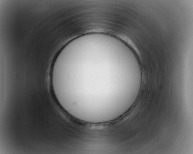 X0000089380890200706150909