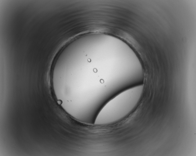X0000089380891200706150909