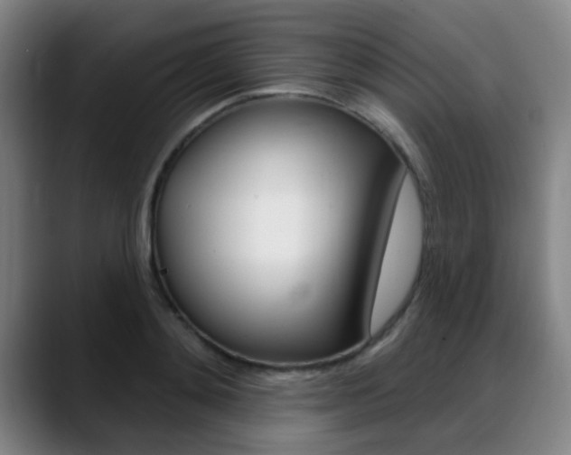 X0000089380892200706150909