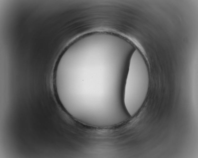 X0000089380895200706150909
