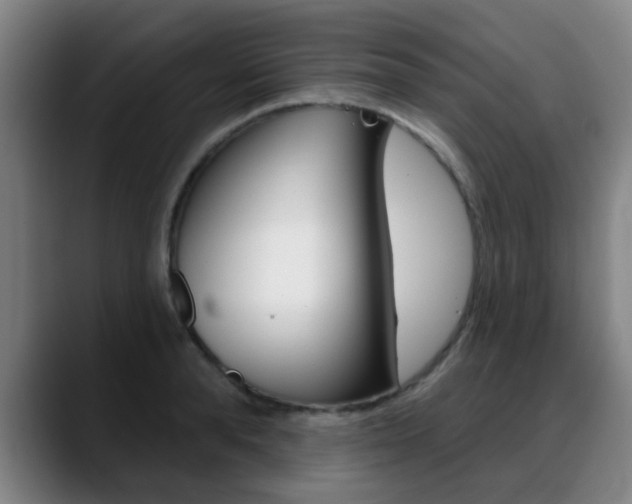 X0000089380896200706150909