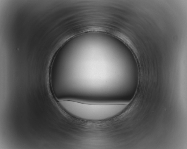 X0000089380898200706150909