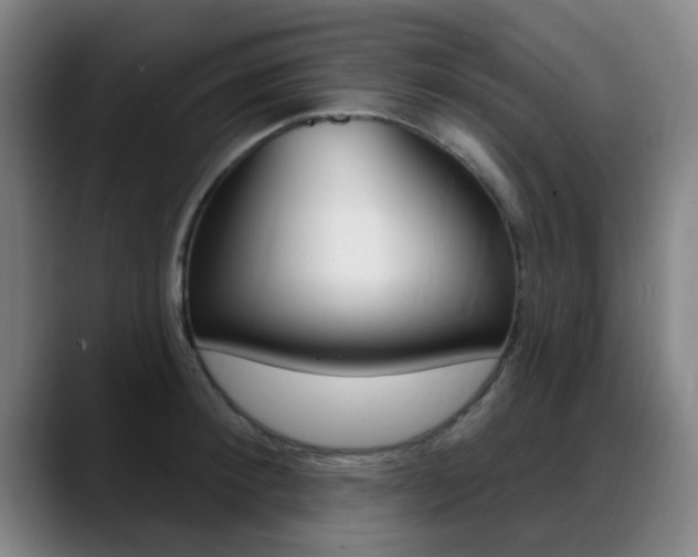 X0000089380900200706150909