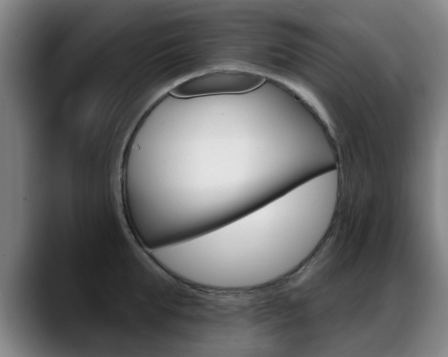 X0000089380903200706150909