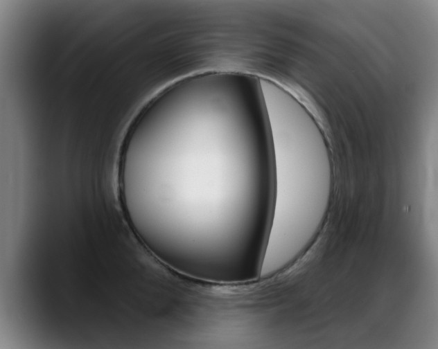 X0000089380904200706150909
