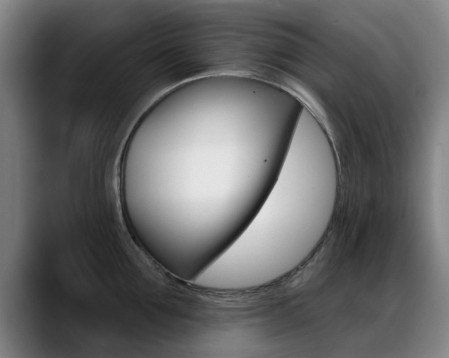 X0000089380907200706150909