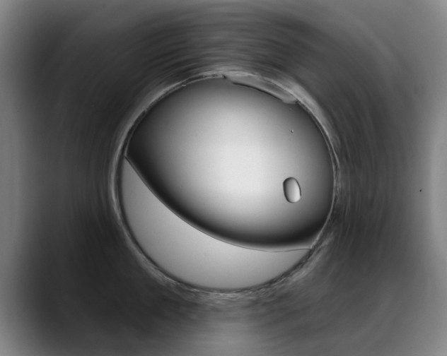 X0000089380909200706150909
