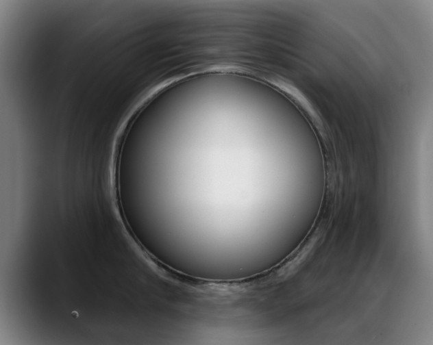 X0000089380910200706150909