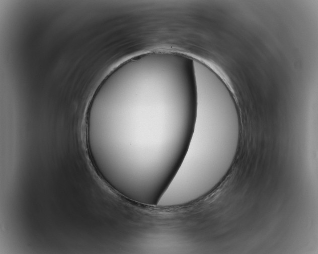 X0000089380911200706150909