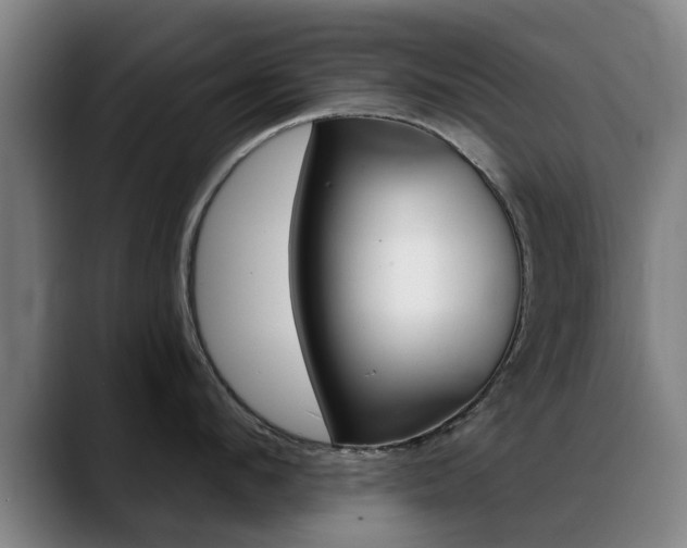 X0000089380912200706150909