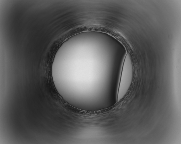 X0000089380919200706150908