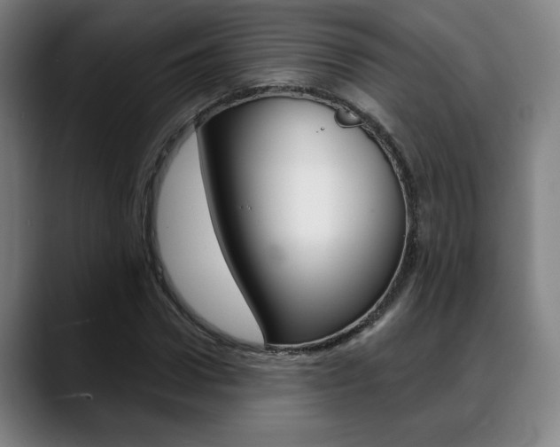 X0000089380922200706150908