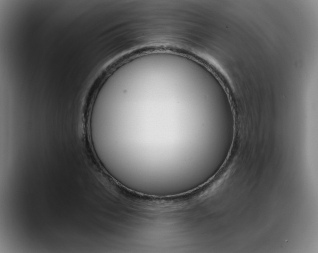 X0000089380927200706150908