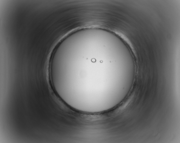X0000089380941200706150908