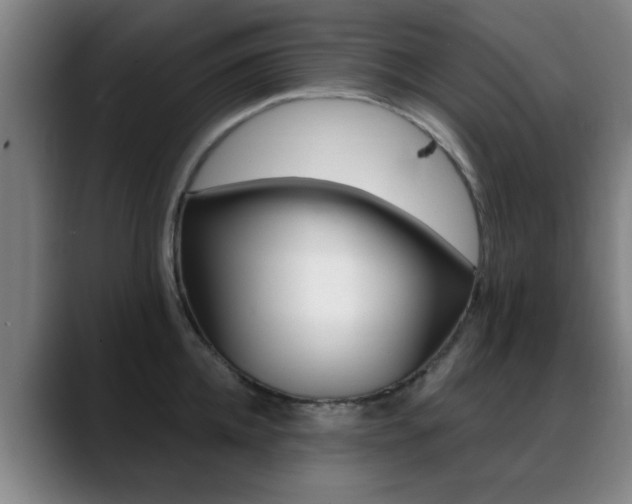 X0000089380952200706150908