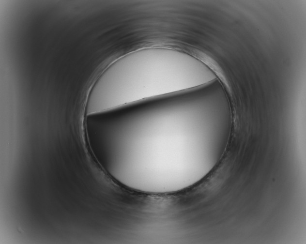 X0000089380954200706150908