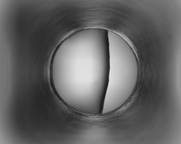 X0000089380957200706150908